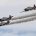 Titan Aerobatic Team 2025 by Dave Swartz